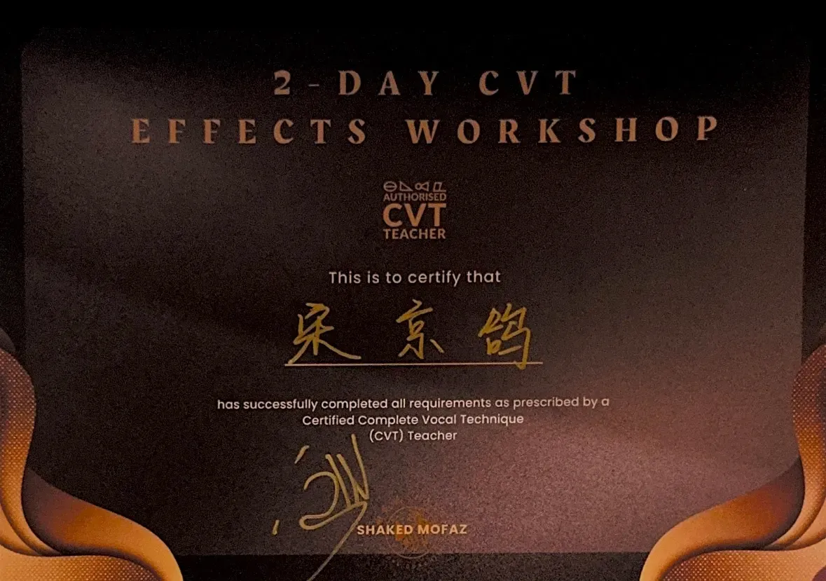 宋京鸽完成 CVT Effects Workshop 的证明